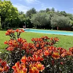 Bed & Breakfast Le Mas Aigaliers Aigaliers
